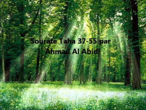 Sourate Taha par Ahmad Al Abid (37-55)