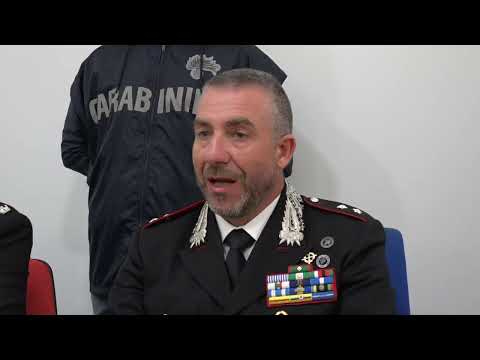 Drug dealing, theft, and scams targeting the elderly: 15 arrests in Molfetta. They were caught in...