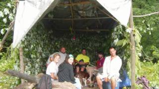 Mason Jennings - Your New Man (Best live version)