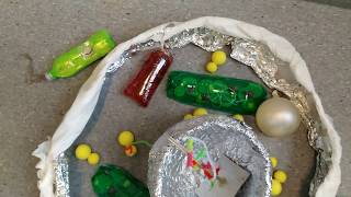 Plant Cell Model - School project