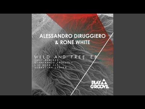 Wild And Free (Original Mix)