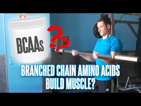 BCAAs and EAAs - Wonder Supplements Or Worthless Gimmicks?