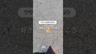 フランス在住者が思うフランスの”個人的に”好きじゃないところ３選 #海外で暮らす