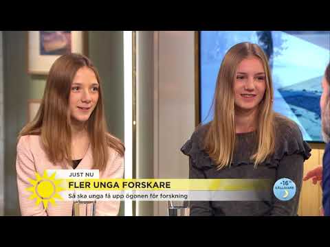 Högstadieelever hjälper forskare att rädda bin - Nyhetsmorgon (TV4)