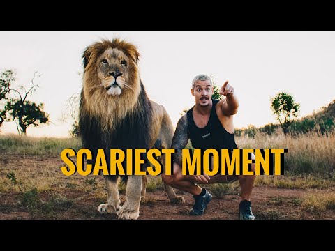 2024 年最可怕的時刻 - 迪安-施耐德 (Scariest Moment 2024 - Dean Schneider)