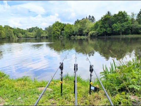 Thumbnail Vidéo You Tube