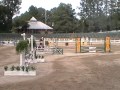Second Chance Thoroughbreds Inki Level 2 Jumper First Show Ever 5yr 16 3h OTTB For Sale