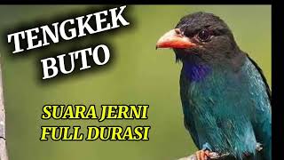 Download lagu TENGKEK BUTO SUARA JERNIH FULL DURASI mp3 Download lagu TENGKEK BUTO SUARA JERNIH FULL DURASI mp3