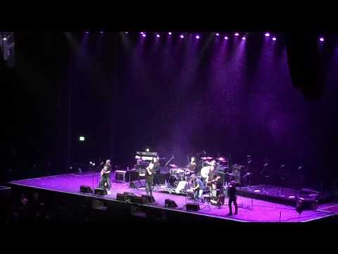 Daryl Braithwaite live - Horses