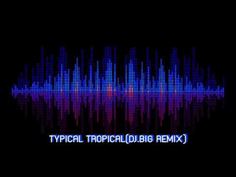 TYPICAL TROPICAL - DJ.BIG REMIX