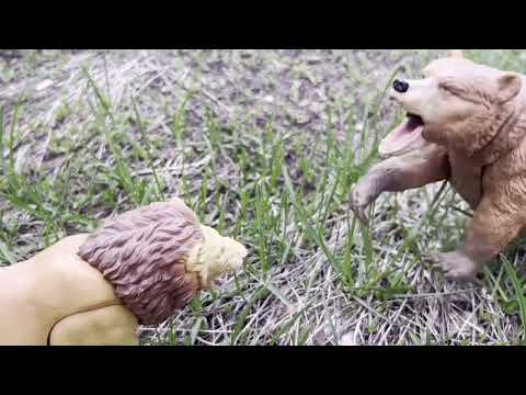 Who Would Win? Grizzly Bear vs. Lion