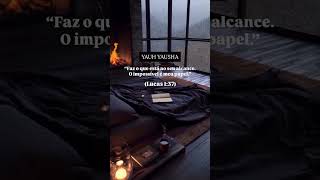 17 de maio de 2026