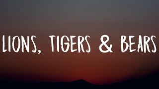 Jazmine Sullivan - Lions, Tigers &amp; Bears (Lyrics) &quot;I&#39;m not scared of lions and tigers and bears&quot;