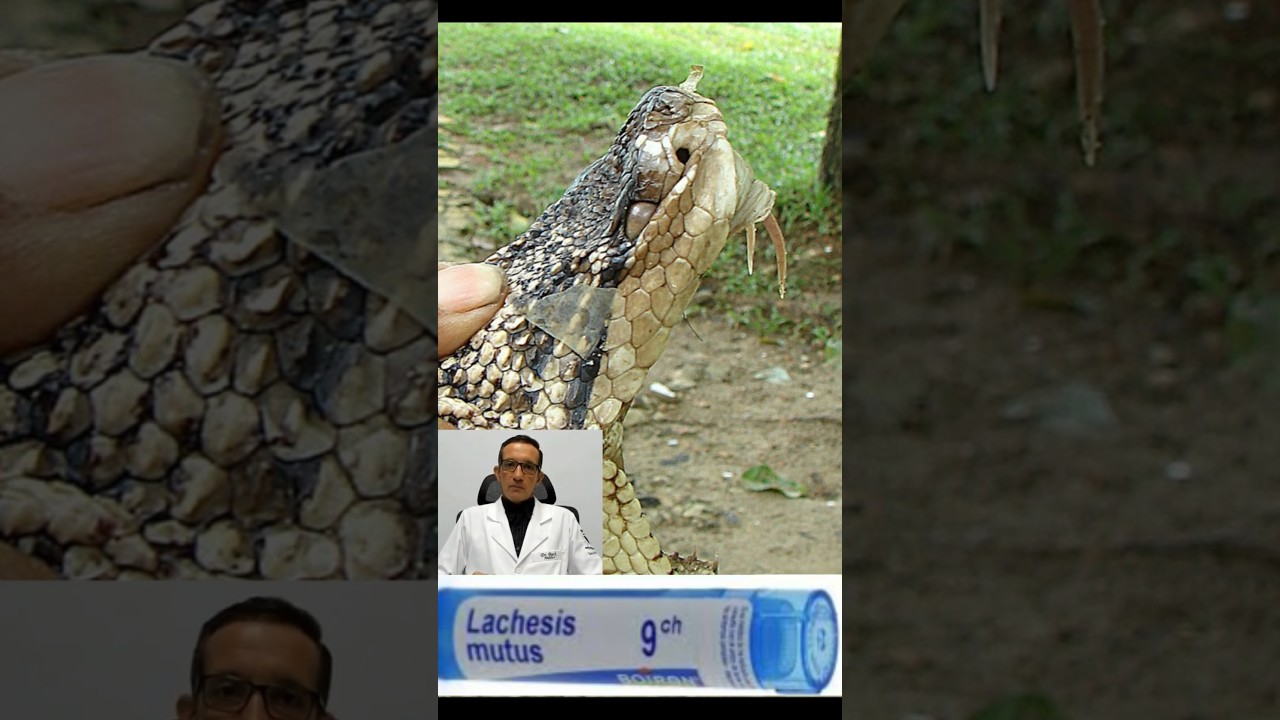 Kelmerson Henri Buck-12