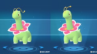 ポケモンレジェンズZAで全ポケモンのオスとメスの違いまとめ。一瞬でわかるポケモンからよく見ないと全くわからないポケモンたち。案外知らない人もいるのでは【ポケモンZA】