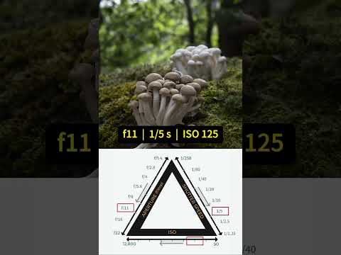 How does shutter speed work with aperture?