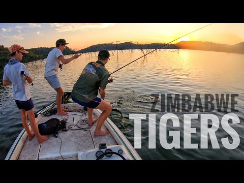 Hunting the Tigers of Zimbabwe (two monsters hooked!)