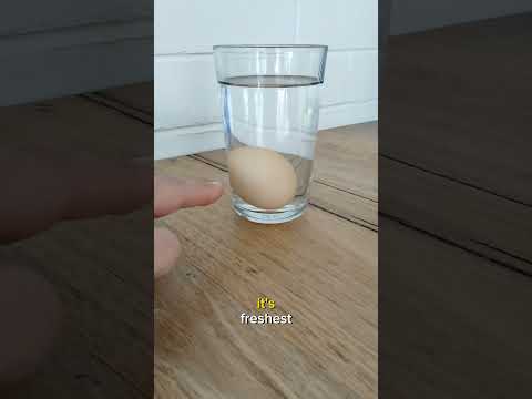 How To Check If An Egg Is Rotten