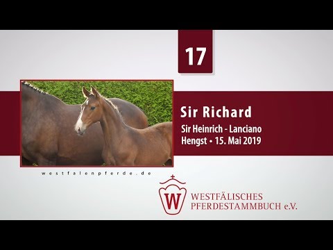 17 Sir Richard  Hengst v. Sir Heinrich - Lanciano