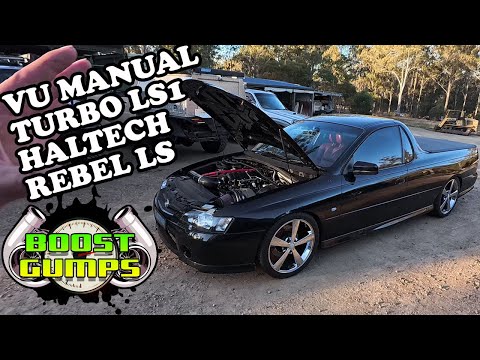 Turbo SS Ute Haltech Rebel LS