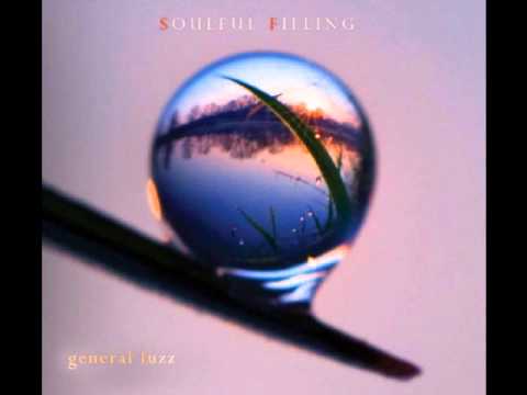 General Fuzz - Comfort Zone