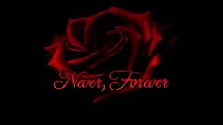 Never, Forever- One Step Behind (The Briggs Cover)