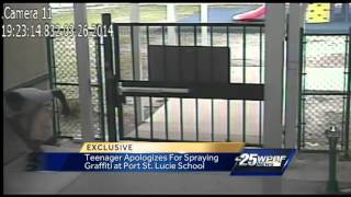 Teen doesn&#39;t know why he vandalized school