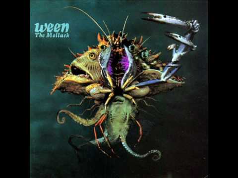 Video thumbnail for The Golden Eel