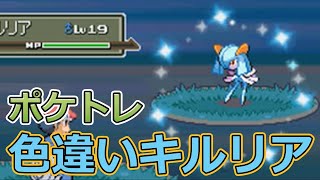 キルリア ポケットモンスター ダイノーズ トゲデマル ヒノヤコマ