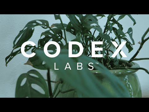 Codex Labs Presents: OUR MICROBIOME - Healing from within