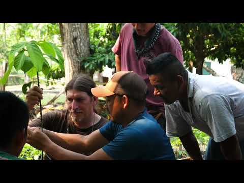 The HCP's Mission: Preserve