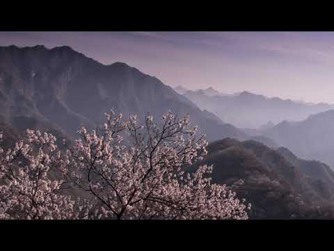 Thumbnail for Cherish The Ladies (feat. Kate Purcell) Glenties by Cherish the Ladies, Cher