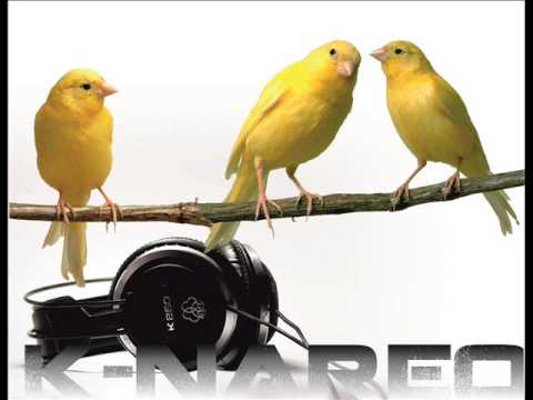 K nareo (Original Mix)-(Electronic Music)