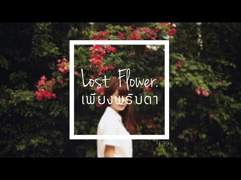 Lost Flower - เพียงพริบตา [ Official Audio ]