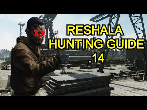 Reshala Farming Guide For Dummies - Escape From Tarkov