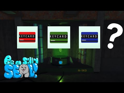 Where all the KEY CARDS go in BE A SILLY SEAL