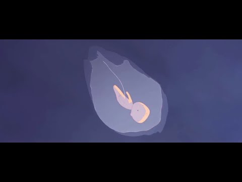 EL HASS - PSYCHEDELIRE ( CLIP ) #LA_KARHA