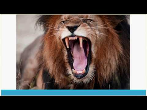 Making .Net Applications Faster by Igor Fesenko (Rus)