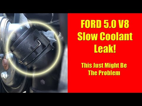 F 150 Slow Coolant Leak! Change the Faulty T Pipe O Ring!
