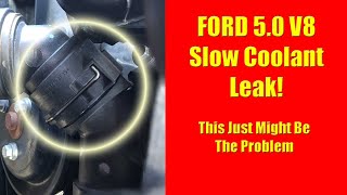 F 150 Slow Coolant Leak! Change the Faulty T Pipe O Ring!