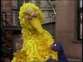 Classic Sesame Street Grover And Big Bird Play Marriage 1975