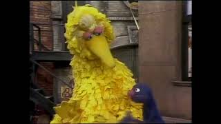 Classic Sesame Street - Grover And Big Bird Play Marriage 1975