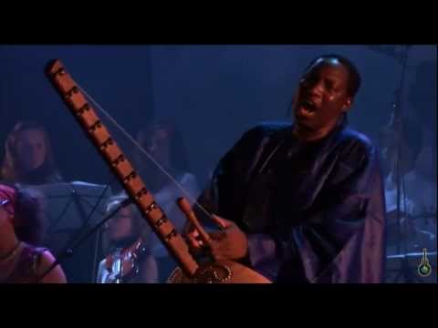 N'Faly Kouyaté - Kora Strings - N'Diyanamo