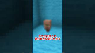 【マイクラ/アプデ】子供村人の見た目が変更！？【ゆっくり】