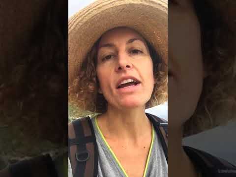 download lagu mp3 mp4 Maria Honig, download lagu Maria Honig gratis, unduh video klip Maria Honig