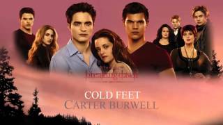 Cold Feet- Carter Burwell (Breaking Dawn part 1 The Score)