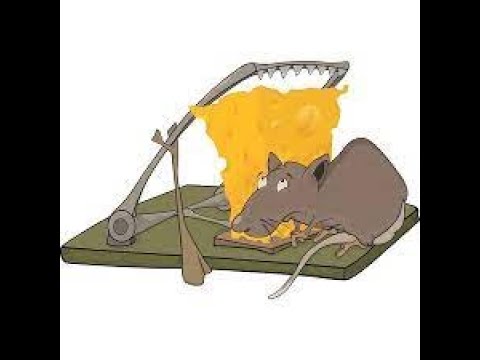 Metal Fare Kapanı Nasıl Kurulur? (Metal fare tuzağı)