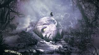 Cover art for Can't Dance, Don't Ask Me