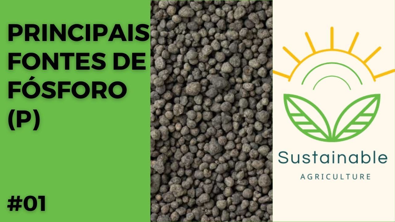 PRINCIPAIS FONTE DE FÓSFORO(P) NA AGRICULTURA