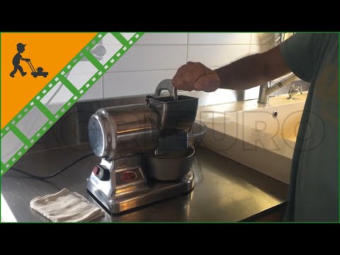 RGV MAXI VIP 8G/S Silver Electric Bench top Grater - 370W - Customer's operating video